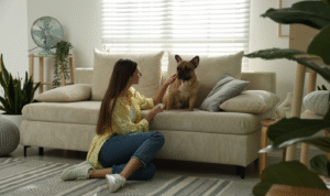 Tenant sitting on a living room floor beside a French bulldog on a sofa, reflecting new 2026 pet request rights under the Renters’ Rights Act