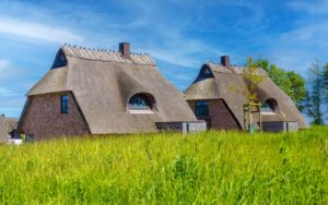 Two thatched houses surrounded by a green field under a clear blue sky.