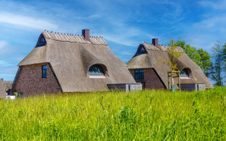 Two thatched houses surrounded by a green field under a clear blue sky.